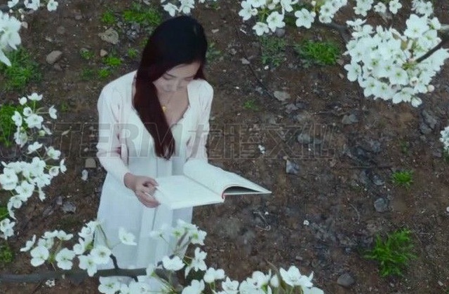 大學國家一流專業(yè)宣傳片如何制作呢？