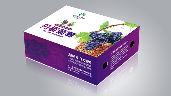 丹棱葡萄禮盒包裝設(shè)計(jì)