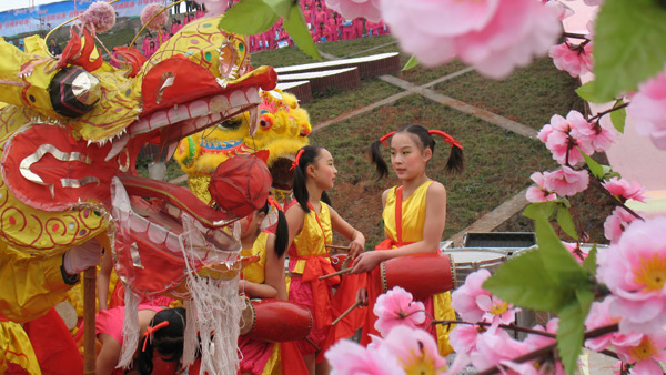 《齊樂桃花源 丹棱鄉(xiāng)村游》城市節(jié)日活動策劃