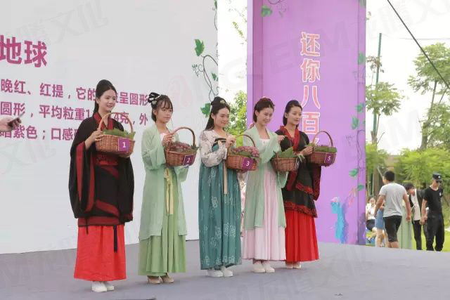 繽紛葡萄節(jié)，打響彭山旅游第一炮！