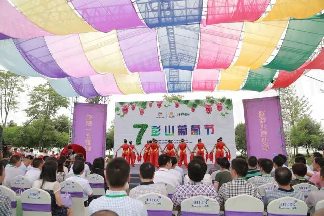 繽紛葡萄節(jié)，打響彭山旅游第一炮！