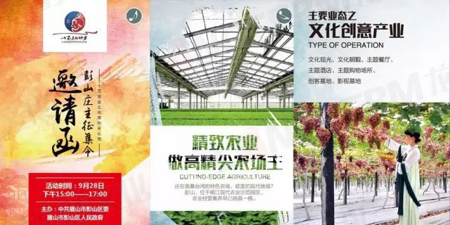 【城會(huì)玩】比鼓還要大的象棋見(jiàn)過(guò)沒(méi)？