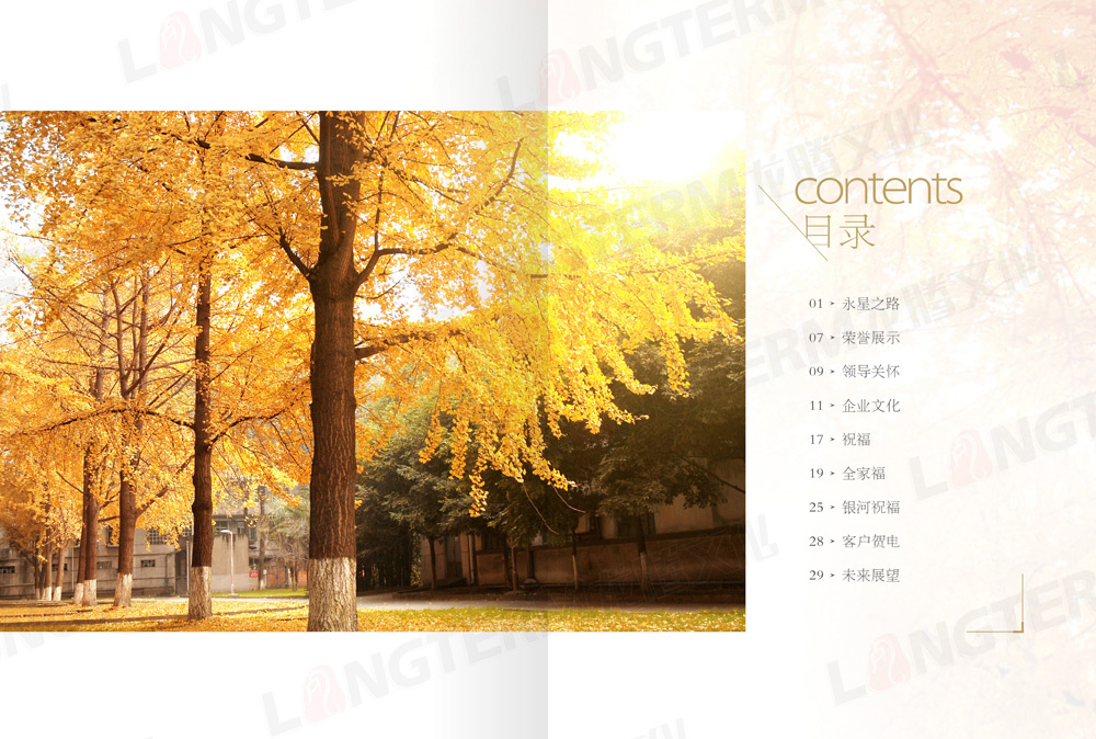 四川永星電子50周年紀念畫冊設(shè)計