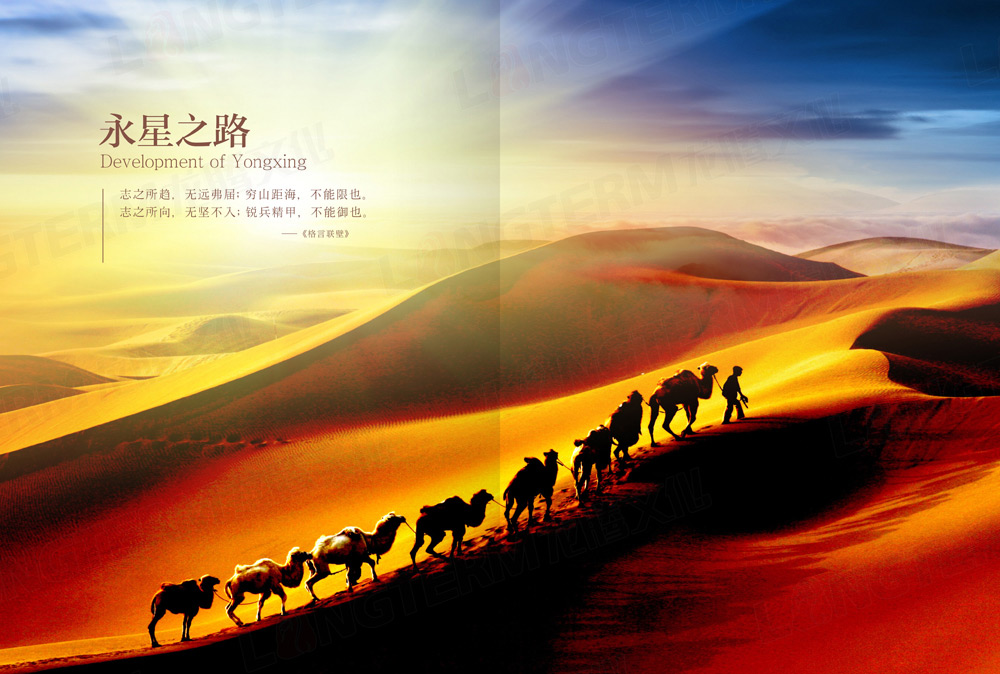 四川永星電子50周年紀念畫冊設(shè)計