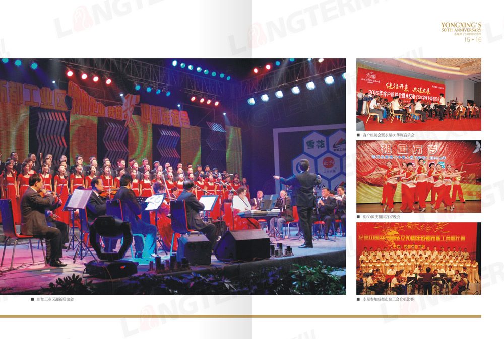 四川永星電子50周年紀念畫冊設(shè)計