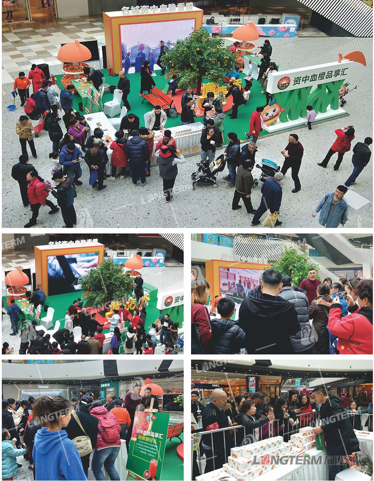 2019第三屆資中血橙節(jié) 2019第三屆資中血橙節(jié)