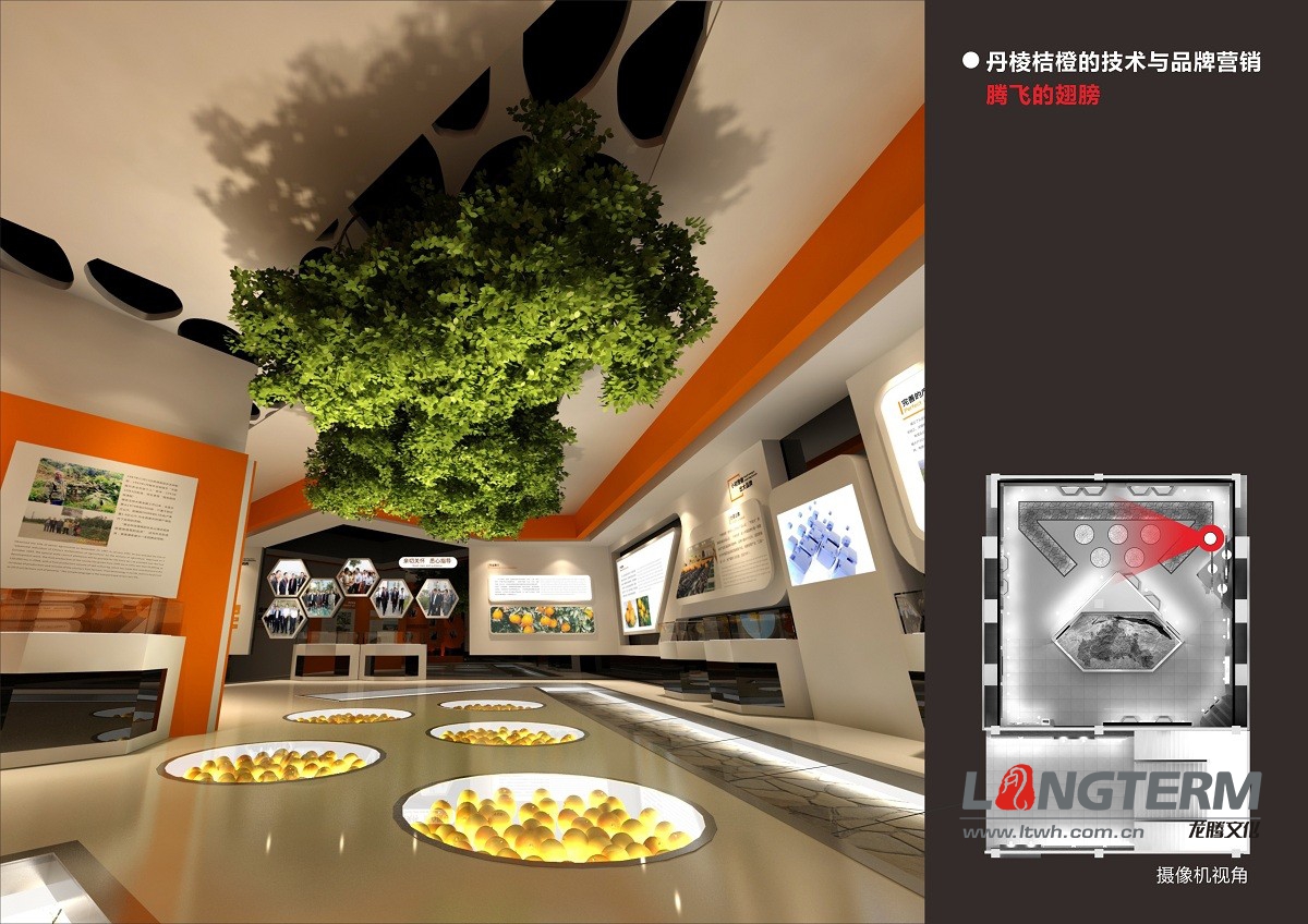 桔橙產(chǎn)業(yè)展廳設(shè)計施工