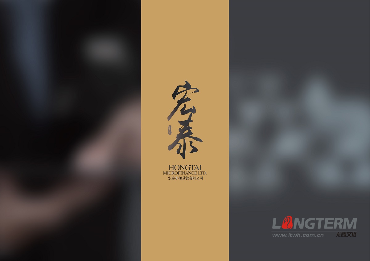 宏泰小額貸款VIS手冊