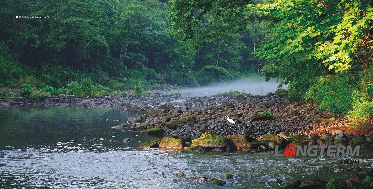 蒲江·新語畫冊設計