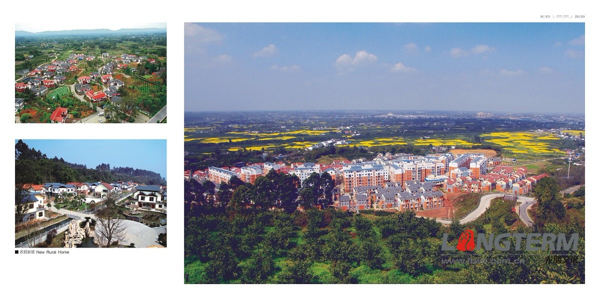 蒲江·新語畫冊設計