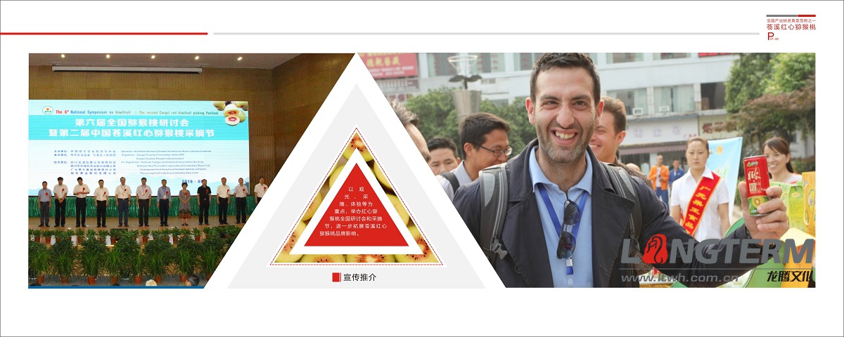 蒼溪縣農(nóng)業(yè)局扶貧畫冊