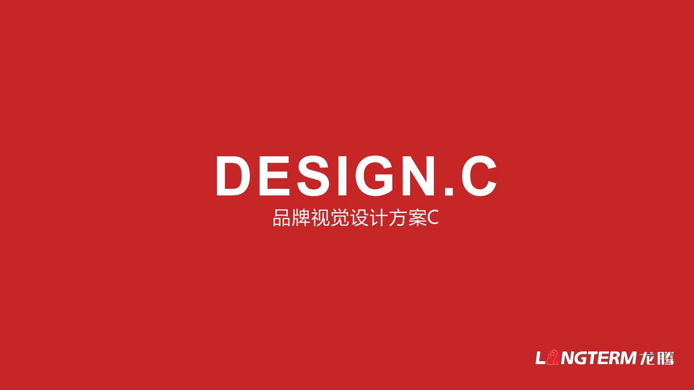 四川海巖聲學(xué)科技有限公司LOGO設(shè)計方案及全套視覺設(shè)計方案