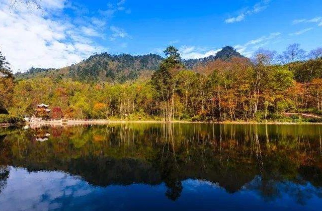 雅安市石棉縣保護區(qū)成立20周年成果展現(xiàn)宣傳片《栗子坪國家級自然保護區(qū)成立 20 周年回顧》制作內容