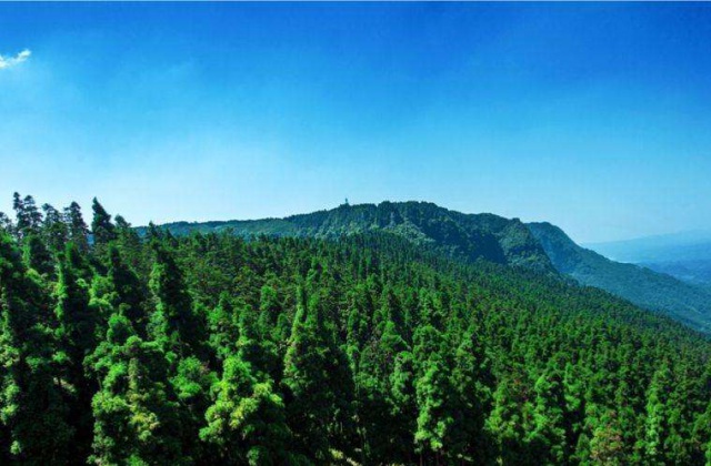 四川省眉山市洪雅縣國有林場洪雅森林博物館宣傳片