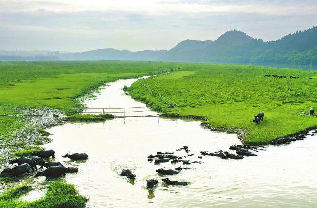四川省南充市蓬安縣農(nóng)業(yè)農(nóng)村局蓬安縣嘉陵牛村田園生活館沙盤制作、五大振興展示、宣傳片拍攝制作
