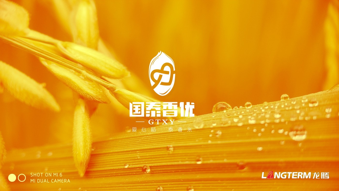 四川眾智種業(yè)科技有限公司“國泰香優(yōu)”品牌VIS設計及實例應用展示效果