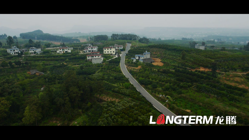 丹棱都市現(xiàn)代農(nóng)業(yè)視頻宣傳片拍攝制作