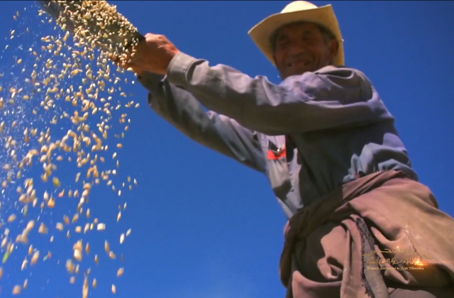 天上阿里紀錄片之土林家園篇