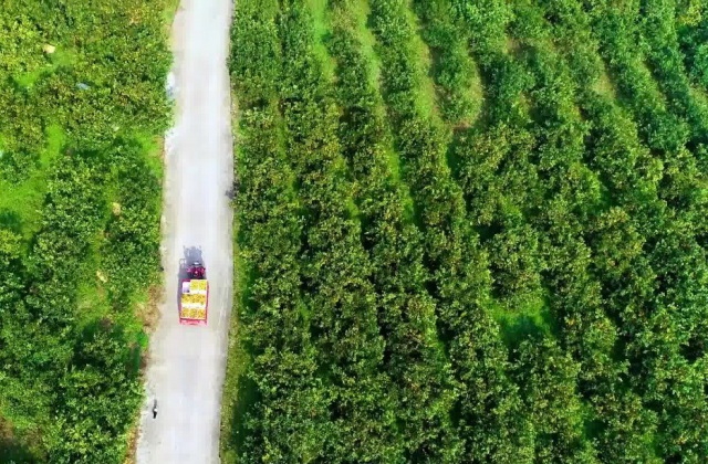 茶葉宣傳片制作技巧？茶葉宣傳片制作要點(diǎn)？