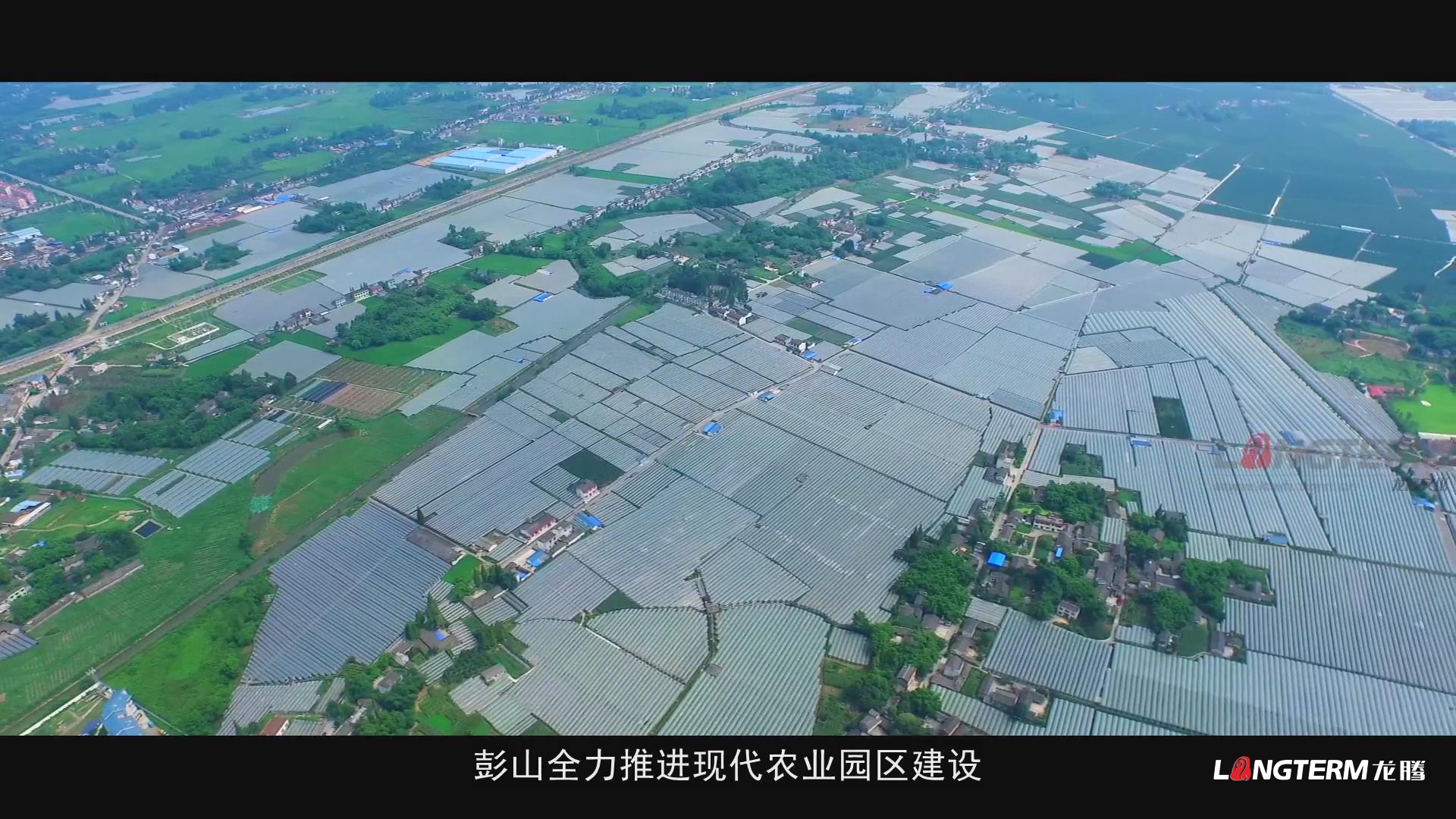 鄉(xiāng)村振興的彭山實踐成果匯報宣傳片