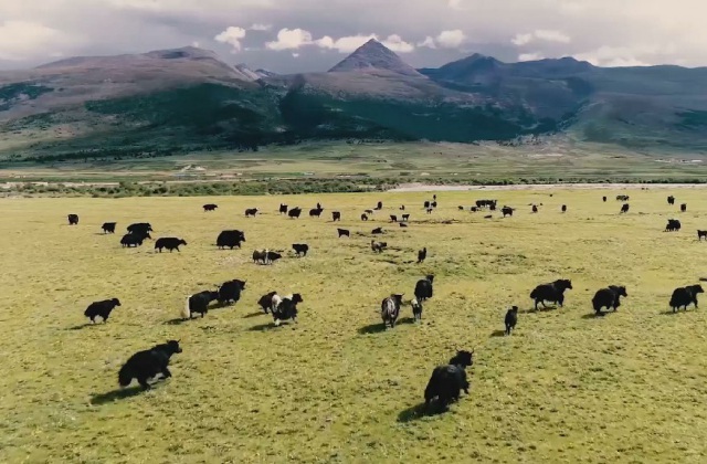 紅色旅游宣傳片怎么寫(xiě)腳本？如何制作優(yōu)秀的紅色旅游宣傳片？