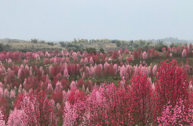 自貢富順縣城市形象宣傳片拍攝制作項(xiàng)目說明