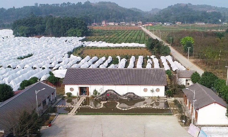 德陽鄉(xiāng)村旅游民宿宣傳片制作過程是什么？