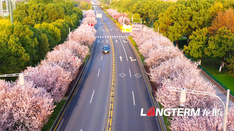 影視拍攝公司如何將企業(yè)文化融入電影