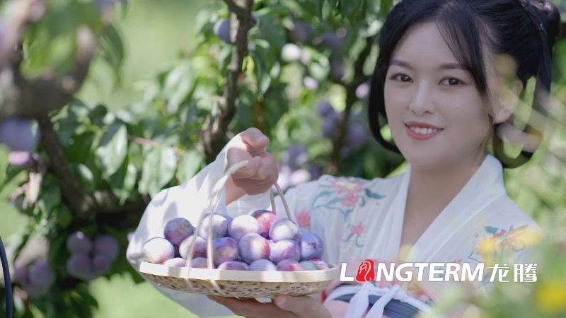 公司產(chǎn)品宣傳片拍攝注意事項