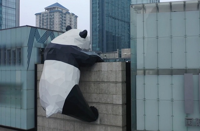 商務(wù)局長(zhǎng)品成都