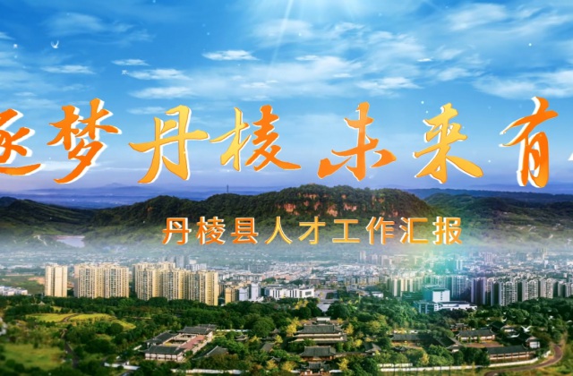 丹棱縣人才工作匯報片